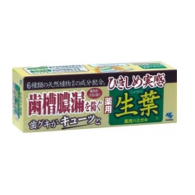 Kobayashi  Паста зубная для профилактики заболеваний десен «Японский кипарис и белая береза», 100 г